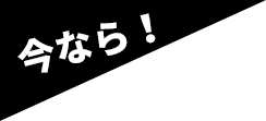 今なら！